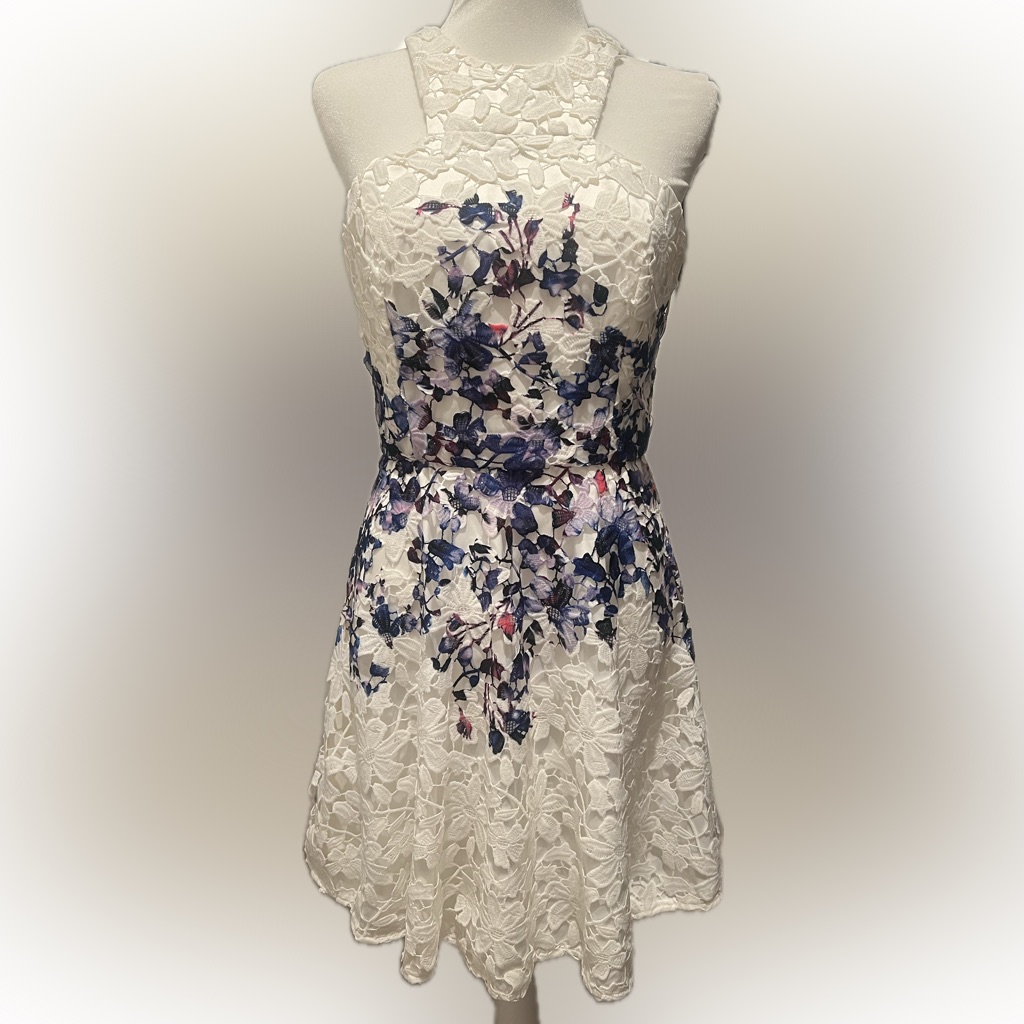 Jaygodfrey White And Blue Floral Dress